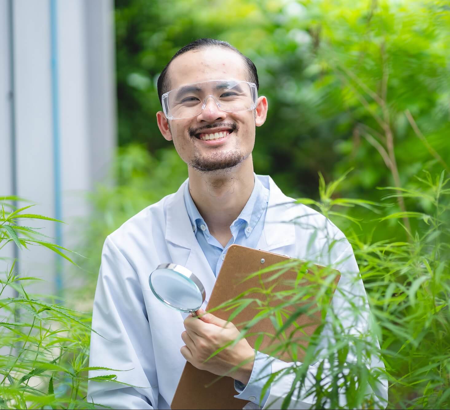 scientist-checking-organic-cannabis-hemp-plants-in-AAPG8VK-1-e1634722886423.jpg